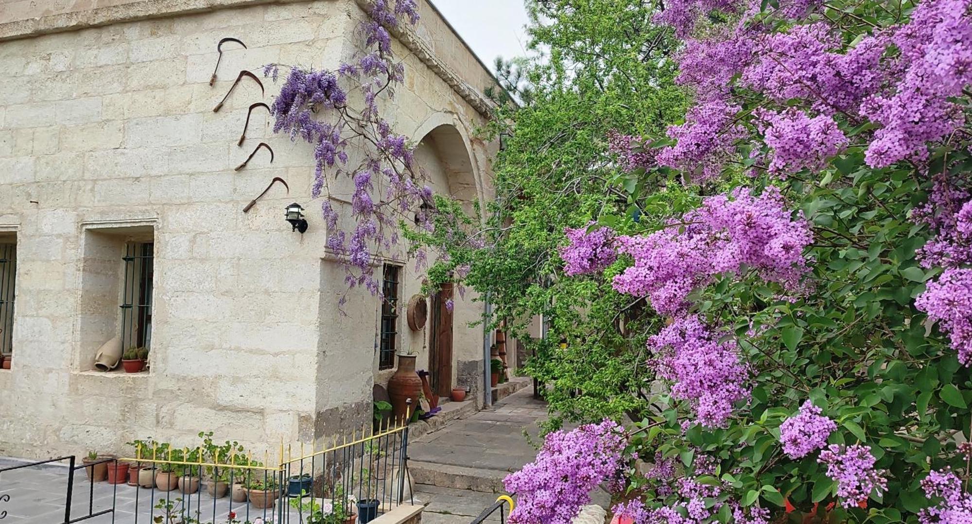 Armesos Cave Hotel Ürgüp Ngoại thất bức ảnh