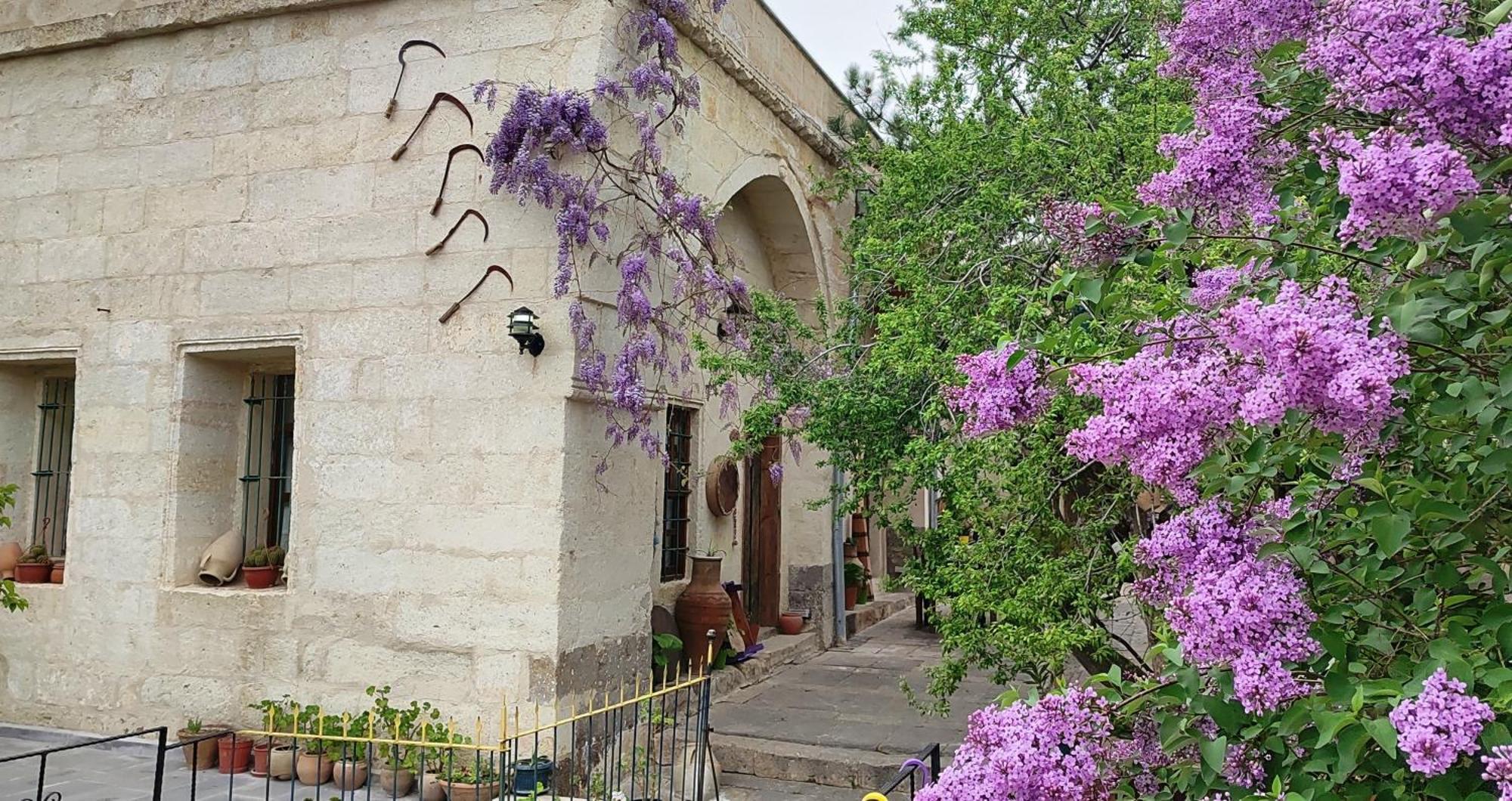 Armesos Cave Hotel Ürgüp Ngoại thất bức ảnh